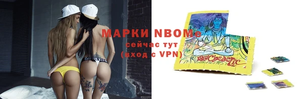 стаф Верея