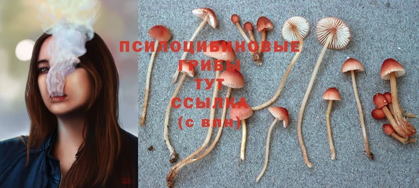 бошки Верхнеуральск