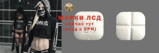 амф Верхний Тагил