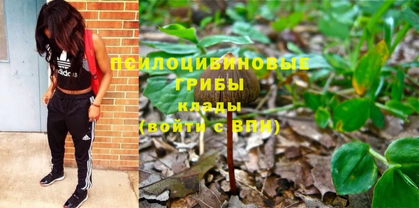 амф Верхний Тагил