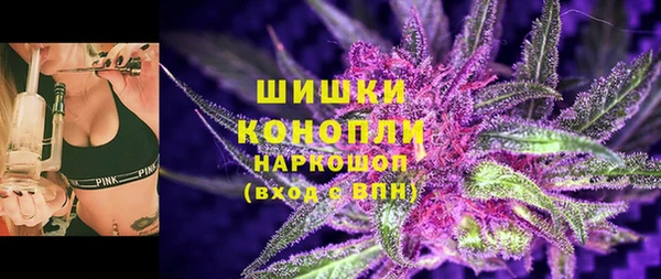 амф Верхний Тагил