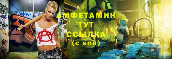 стаф Верея