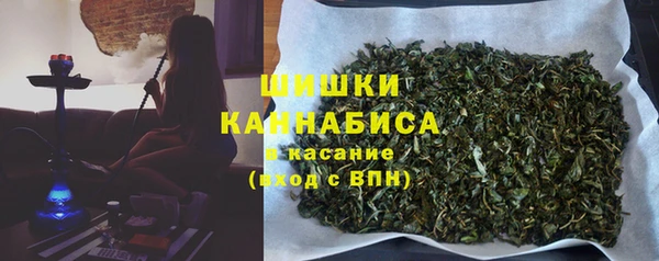 амф Верхний Тагил