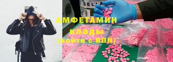 стаф Верея